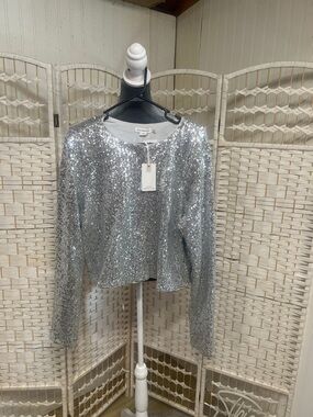 Good American Silver Sequin Long Sleeve Top